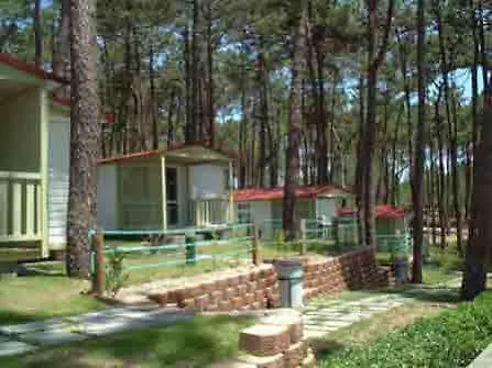 Orbitur Valado Bungalows Caravan Park Nazare
